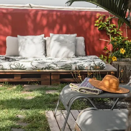 Papaya Cottage Punta Del Hidalgo Buitenkant foto
