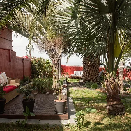 Papaya Cottage Punta Del Hidalgo Buitenkant foto